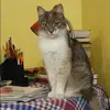 Отзыв от Галина Белова